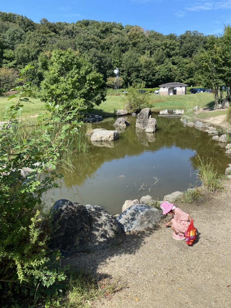 名古屋市天白区の公園に行こう!愛知の遊び場紹介!~天白公園~vol.3 | こどもと僕ブログ