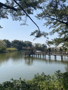 岡崎東公園の水鳥とコイにエサやりができる池