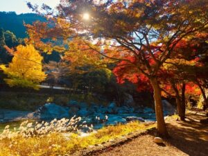 秋の紅葉と川